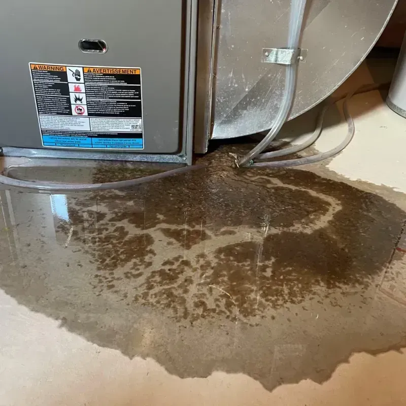 Appliance Leak Cleanup in Butte, AK